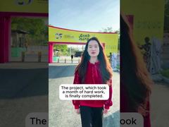 กรณีโครงการซุ่นเต๋อ บรูซ ลี