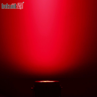 Ip65 กลางแจ้ง Dmx 60w Rgbw นำไฟส่องเฉพาะจุดสำหรับสวน