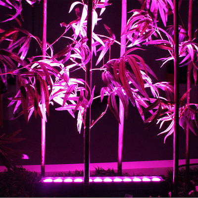 12X3W Outdoor LED Wall Washer IP65 กันน้ํา DMX RGB LED ไฟลอยน์ Washer ไฟสําหรับโครงสร้างสถาปัตยกรรม
