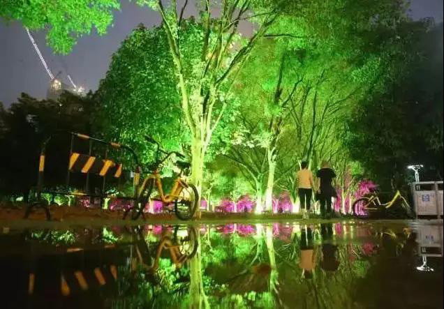 DMX512 RGBW 36W ต้นไม้ LED แสงน้ําท่วม แสงสวน LED สําหรับการฉายภูมิทัศน์