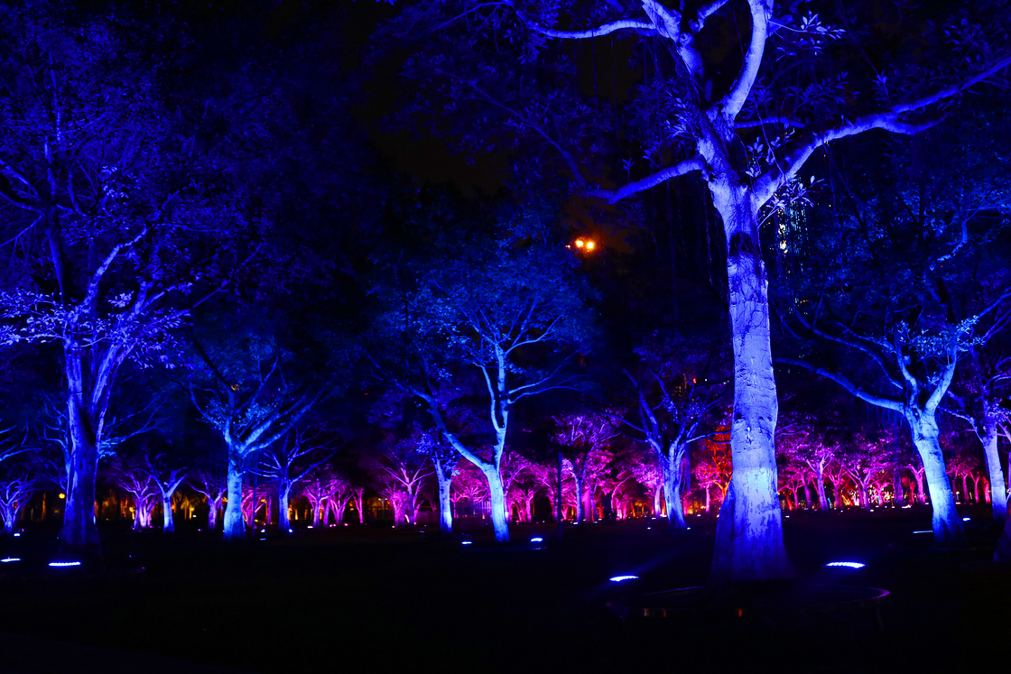 36w สีกลางแจ้ง Rgb Led สวนต้นไม้ Flood Light สําหรับการฉายภูมิทัศน์