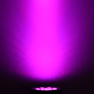 12*10W RGBW 4 In 1 IP65 LED Par Can Stage Event Show Lighting Outdoor LED พาร์